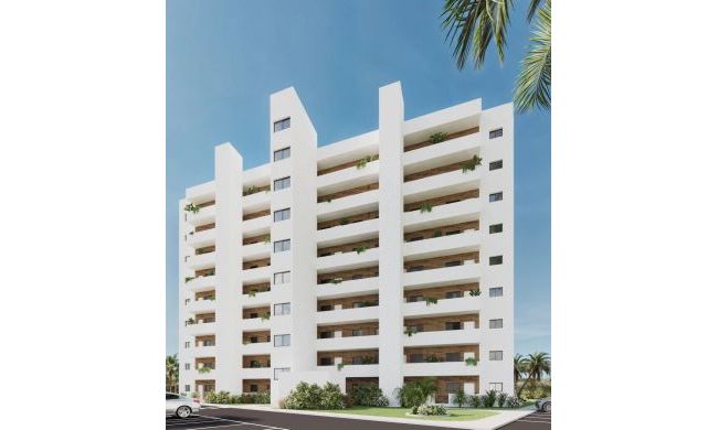 Atico - Nueva construcción  - Benidorm - Benidorm