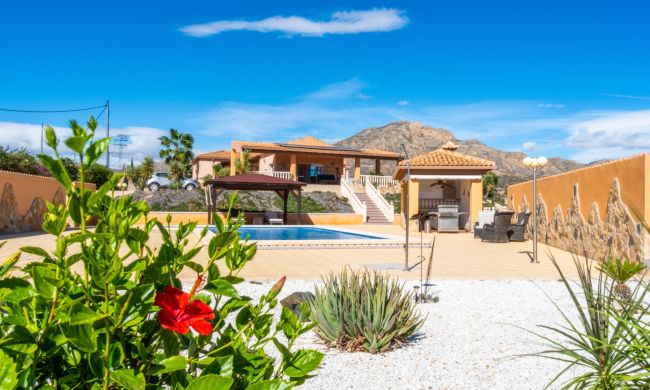 Villas - Venta - Albatera - ALB-C1103