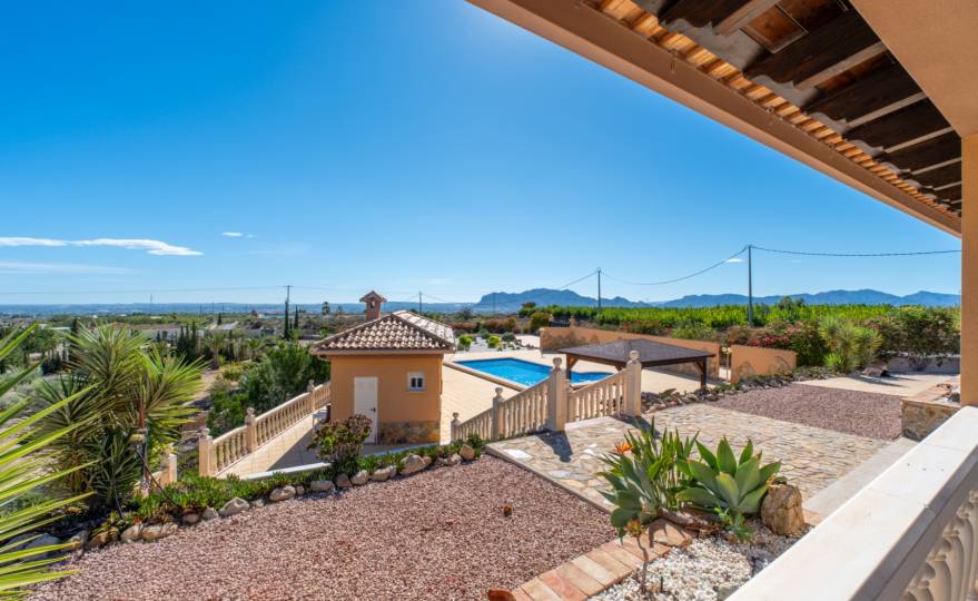 Living in Partida Las Lomas (Albatera): peace, nature and authentic Spanish country life